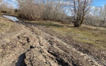 Единственную улицу на станции Погромное обещали заасфальтировать после прямой линии с Путиным, но до сих пор  ничего не сделали
