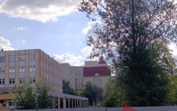 Жители Степного в Оренбурге жалуются на спил деревьев