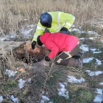 Дело об исчезновении мужчины в Новосергиевском районе вот уже три года то открывают, то закрывают
