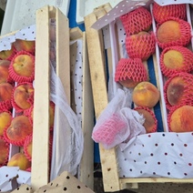 Не опять, а снова: в Оренбуржье завезли персики с опасным вредителем