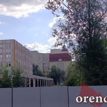 В мэрии пообещали жителям Степного 39 новых деревьев вместо 13-ти спиленных