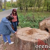 Погибнет или выживет Зауральная роща в Оренбурге