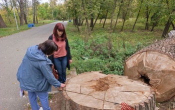 Погибнет или выживет Зауральная роща в Оренбурге