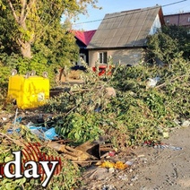 В Оренбурге за две с половиной недели планируют вывезти с площадок ТКО ветки и растительные отходы
