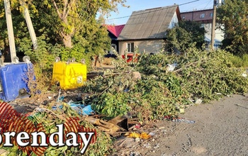 В Оренбурге за две с половиной недели планируют вывезти с площадок ТКО ветки и растительные отходы