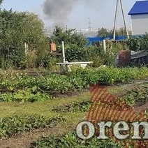 Когда и у кого из оренбургских дачников на самом деле начнут отбирать участки