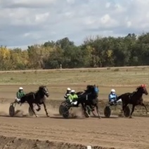 В Оренбуржье на ипподроме завершили беговой сезон и провели областную сельскохозяйственную ярмарку