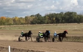 В Оренбуржье на ипподроме завершили беговой сезон и провели областную сельскохозяйственную ярмарку