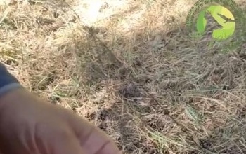 Птицы в заказнике «Светлинский» получают «паспорта»