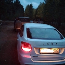 Любители тихой охоты наделали много шума в Бузулукском бору