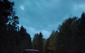 Любители тихой охоты наделали много шума в Бузулукском бору