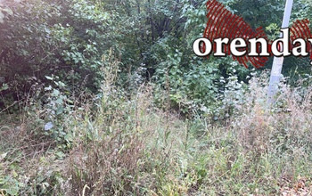 Парк «Ивушка» в Оренбурге: лето прошло, а проблемы остались