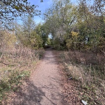 В Оренбурге неизвестный на питбайке снес школьницу и скрылся