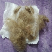 В Оренбуржье более десятка подростков измывалась над 12-летней девочкой в день ее рождения