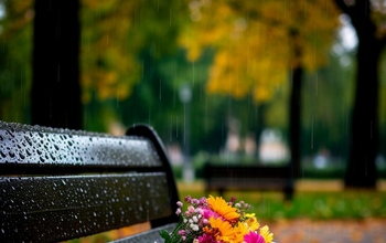 Раки и Весы, проявите силу воли, Львам могут помешать грустные воспоминания, а Овнам не стоит допускать оплошностей