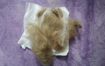 В Оренбуржье более десятка подростков измывалась над 12-летней девочкой в день ее рождения