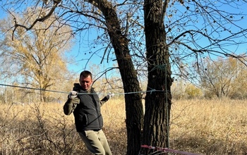 Глава Соль-Илецкого муниципального округа вспомнил детство, отведав молодильных яблочек