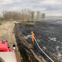Бузулукскому бору угрожал пожар