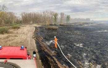 Бузулукскому бору угрожал пожар