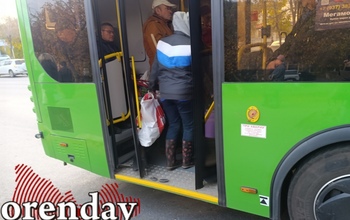 Сезон на исходе: оренбургские дачники прощаются с садовыми участками в тесноте