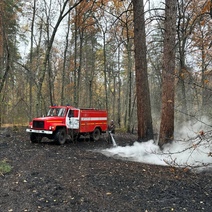 В Бузулукском бору тушили пожар более 12 часов