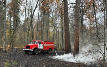 В Бузулукском бору тушили пожар более 12 часов