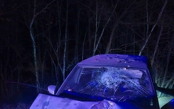 В Оренбуржье 18-летний юноша въехал на ВАЗе в дерево и скрылся с места аварии