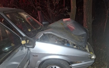 В Сорочинском округе 18-летний водитель без прав врезался в дерево