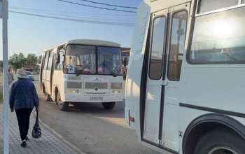 Проезд для школьников из семей участников СВО в Саракташе стал бесплатным