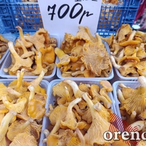 В День грибов их ассортимент на Центральном рынке в Оренбурге не балует горожан