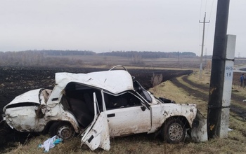В Асекеевском районе бесправный водитель за рулем ВАЗа слетел в кювет и врезался в столб