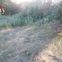 Оренбуржец попал под суд из-за сорняков в Магадане