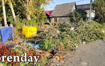 «Сидим с бобром за столом»: что оренбуржцам делать с ботвой и ветками со своих участков