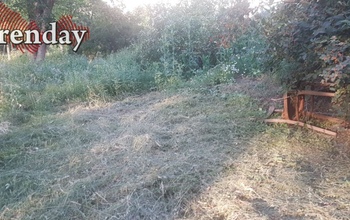 Оренбуржец попал под суд из-за сорняков в Магадане