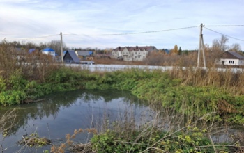 Очередная экоугроза: жители Бузулукского района упрекают чиновников в бездействии