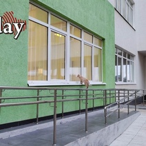 В Оренбуржье обнаружен кот, мечтающий постигать азы наук