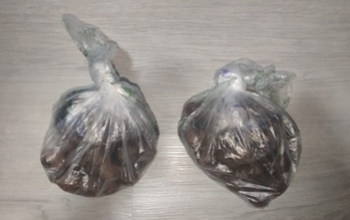 В Оренбурге задержали пару, подозреваемую в сбыте наркотиков