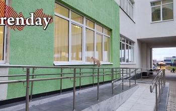 В Оренбуржье обнаружен кот, мечтающий постигать азы наук