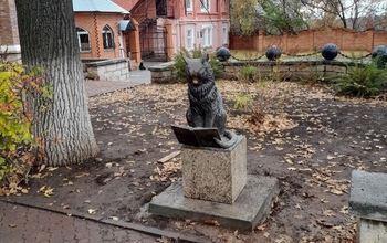 В Оренбурге коту ученому не планируют возвращать пенсне