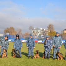 В Оренбуржье на службу в УФСИН прибыли мохнатые новобранцы
