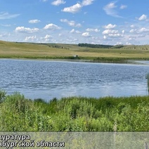 В Оренбуржье администрация района передала частному лицу в аренду землю с водоемами