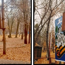 В Саракташе в местном парке неизвестные развесили лавочки по деревьям