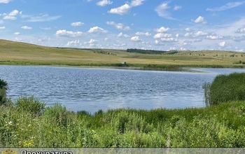 В Оренбуржье администрация района передала частному лицу в аренду землю с водоемами