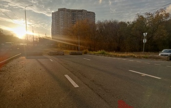 Областная прокуратура организовала проверку 