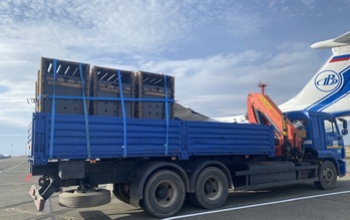 Из Оренбуржья в Хакасию на самолёте отправились редкие лошади Пржевальского