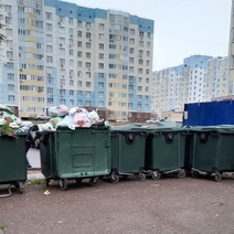 В Оренбурге жители МКД на улицах Гаранькина и Транспортной выдержали квест с мусором и крысами