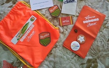 Обещал «Артек», а оказался мошенником: орчанина ждёт суд за махинации с путёвками