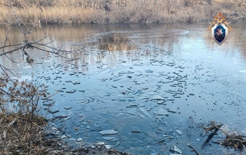 Следком региона выясняет обстоятельства гибели ребенка в Кваркенском районе (18+)