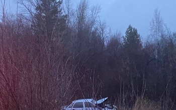 В Бузулукском районе водитель ВАЗа слетел в кювет и погубил пассажирку (18+)