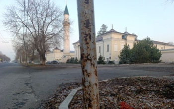 Мэрия Оренбурга поскупилась на новые столбы для пролегающего от вокзала проспекта